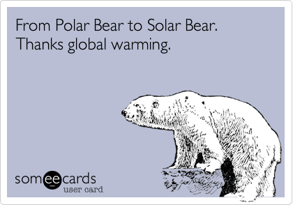 From Polar Bear to Solar Bear. Thanks global warming.