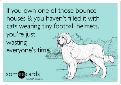 If you own one of those bounce houses & you haven't filled it with cats wearing tiny football helmets, you're just
wasting
everyone's time.