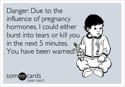 Danger: Due to the
influence of pregnancy
hormones, I could either
burst into tears or kill you
in the next 5 minutes. 
You have been warned!