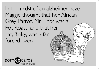 In the midst of an alzheimer haze Maggie thought that her African Grey Parrot, Mr Tibbs was a
Pot Roast  and that her
cat, Binky, was a fan
forced oven.
