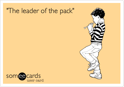 "The leader of the pack"