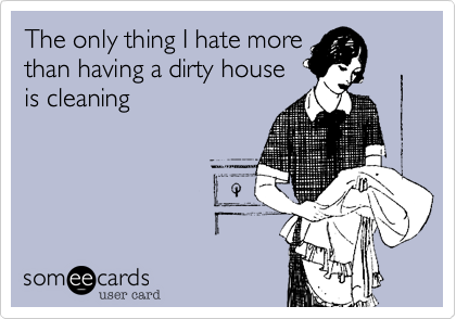 The only thing I hate more
than having a dirty house
is cleaning