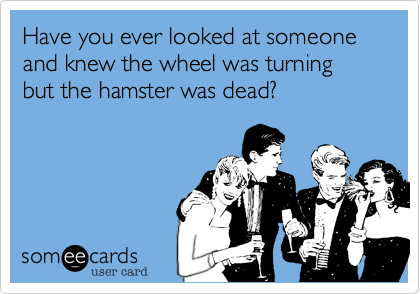 Have you ever looked at someone and knew the wheel was turning but the hamster was dead?