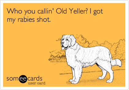 Who you callin' Old Yeller? I got my rabies shot. 