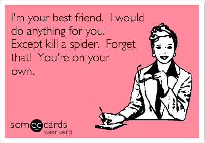 I'm your best friend.  I would
do anything for you.  
Except kill a spider.  Forget
that!  You're on your
own.