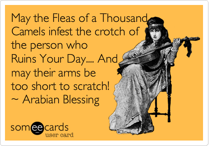 May the Fleas of a Thousand
Camels infest the crotch of
the person who
Ruins Your Day.... And
may their arms be
too short to scratch!
%7E Arabian Blessing 