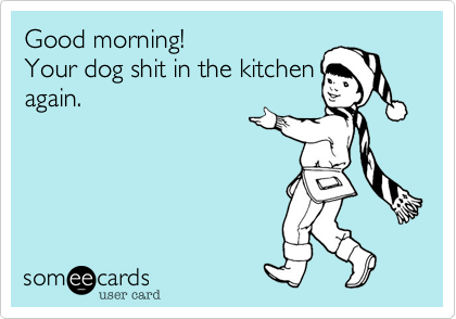 Good morning!
Your dog shit in the kitchen
again.