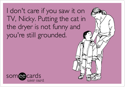 I don't care if you saw it on
TV, Nicky. Putting the cat in
the dryer is not funny and
you're still grounded.