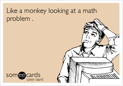Like a monkey looking at a math problem .
