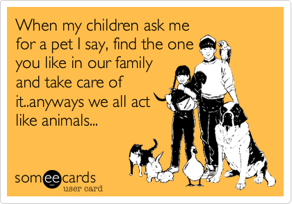When my children ask me
for a pet I say, find the one
you like in our family
and take care of
it..anyways we all act
like animals...