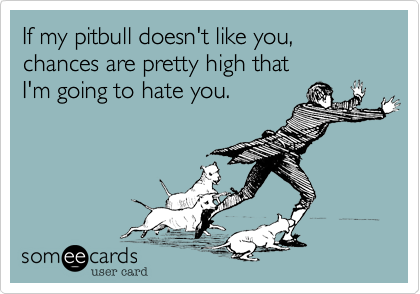 If my pitbull doesn't like you, chances are pretty high that
I'm going to hate you.