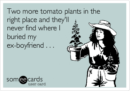 Two more tomato plants in the right place and they'll
never find where I
buried my
ex-boyfriend . . .