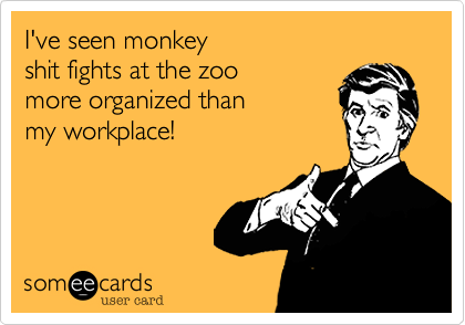 I've seen monkey 
shit fights at the zoo 
more organized than 
my workplace!