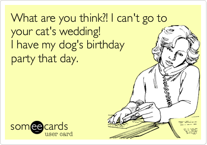 What are you think?! I can't go to your cat's wedding! 
I have my dog's birthday 
party that day. 