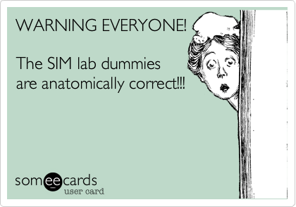 WARNING EVERYONE!

The SIM lab dummies
are anatomically correct!!!