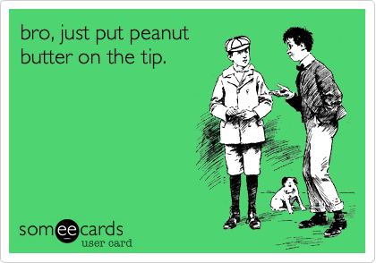 bro, just put peanut
butter on the tip.