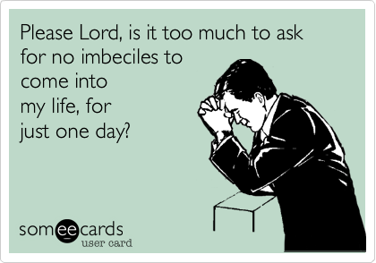 Please Lord, is it too much to ask for no imbeciles to
come into
my life, for 
just one day?  