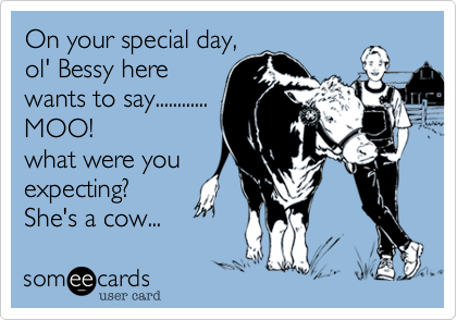 On your special day, 
ol' Bessy here
wants to say............
MOO!
what were you
expecting? 
She's a cow... 