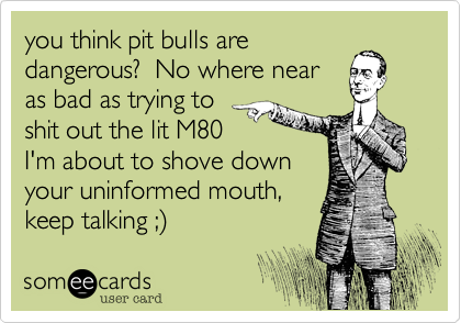 you think pit bulls are
dangerous?  No where near
as bad as trying to
shit out the lit M80
I'm about to shove down
your uninformed mouth,
keep talking ;%29