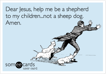 Dear Jesus, help me be a shepherd to my children...not a sheep dog.  Amen.