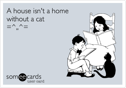 A house isn't a home
without a cat
=^,,^=