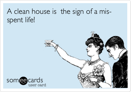 A clean house is  the sign of a mis-spent life!