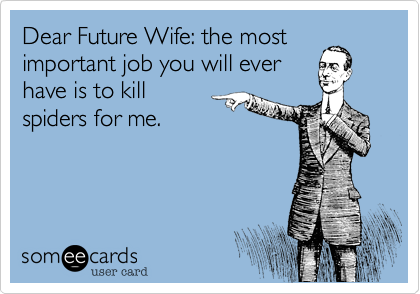 Dear Future Wife: the most
important job you will ever
have is to kill 
spiders for me.