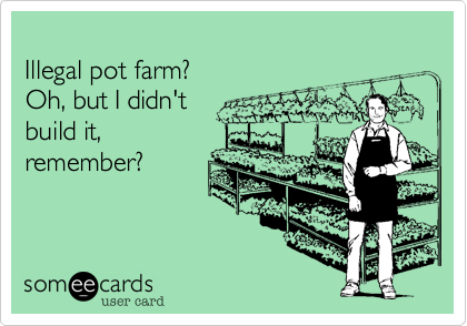 
Illegal pot farm?
Oh, but I didn't
build it,
remember?