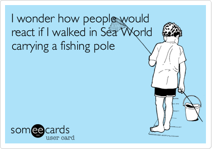 I wonder how people would
react if I walked in Sea World
carrying a fishing pole