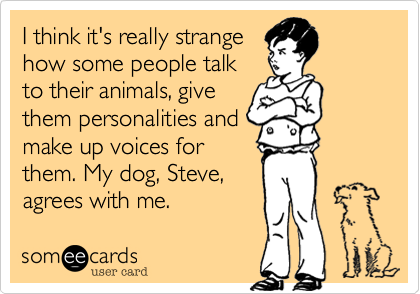I think it's really strange how some people talk to their animals, give  them personalities and make up voices for them. My dog, Steve, agrees with  me. | News Ecard