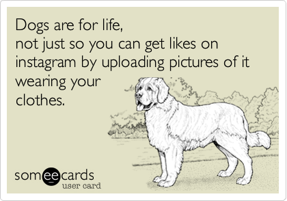 Dogs are for life, 
not just so you can get likes on instagram by uploading pictures of it wearing your
clothes.
