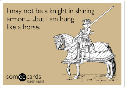 I may not be a knight in shining
armor.........but I am hung
like a horse.
