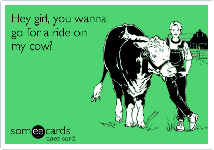 Hey girl, you wanna
go for a ride on
my cow?