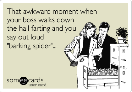 That awkward moment when
your boss walks down
the hall farting and you
say out loud
"barking spider"...