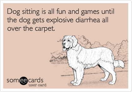 Dog sitting is all fun and games until the dog gets explosive diarrhea all over the carpet.