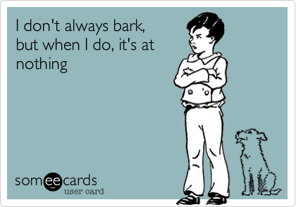 I don't always bark,  
but when I do, it's at 
nothing