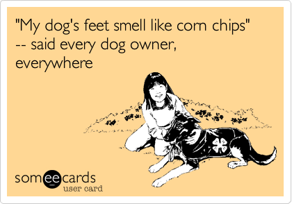 "My dog's feet smell like corn chips" 
-- said every dog owner, everywhere