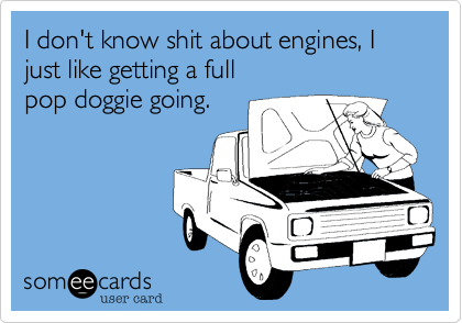 I don't know shit about engines, I just like getting a full
pop doggie going.