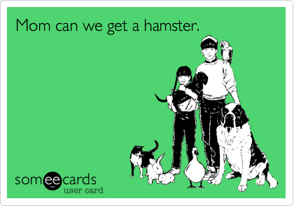 Mom can we get a hamster.