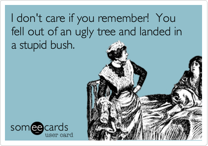 I don't care if you remember!  You fell out of an ugly tree and landed in a stupid bush.