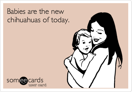 Babies are the new
chihuahuas of today.