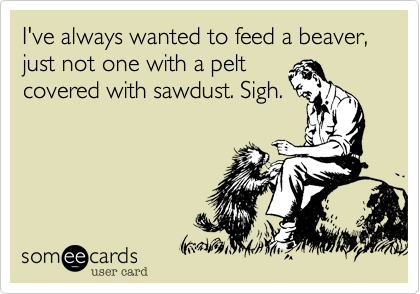 I've always wanted to feed a beaver, just not one with a pelt
covered with sawdust. Sigh.