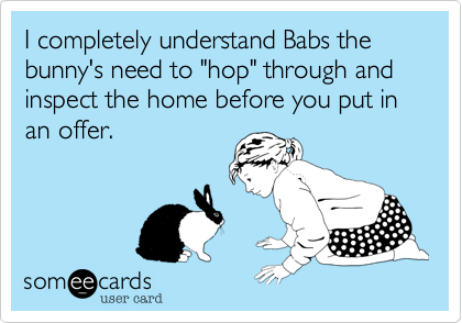 I completely understand Babs the bunny's need to "hop" through and inspect the home before you put in an offer.  