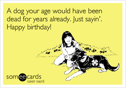 A dog your age would have been dead for years already. Just sayin'. Happy birthday!