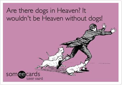 Are there dogs in Heaven? It wouldn't be Heaven without dogs!