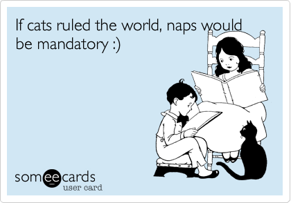 If cats ruled the world, naps would be mandatory :%29