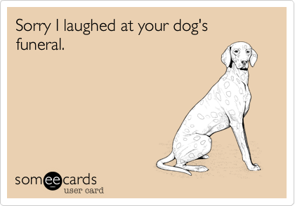 Sorry I laughed at your dog's funeral. 
