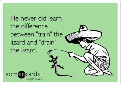 
  He never did learn 
  the difference 
  between "train" the 
  lizard and "drain" 
  the lizard.
 