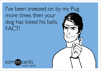 I've been sneezed on by my Pug more times then your
dog has licked his balls.
FACT!