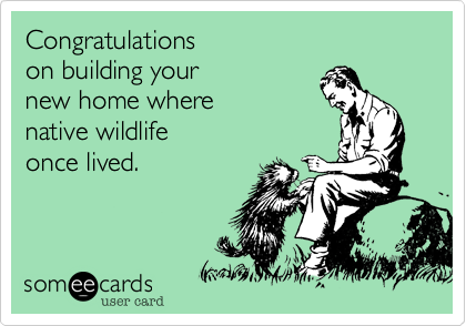 Congratulations 
on building your 
new home where 
native wildlife
once lived.
